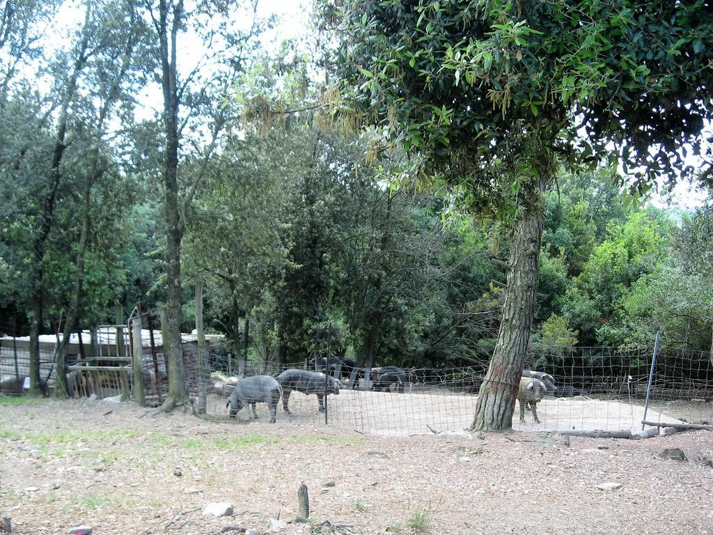 Tenuta La Bandita Sassetta Exterior photo
