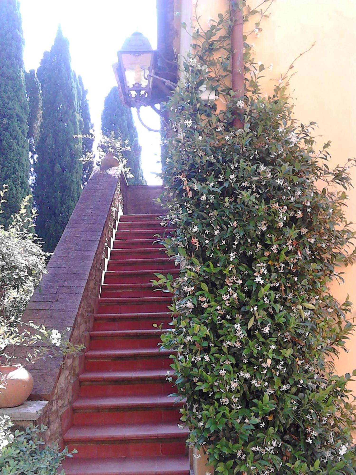 Tenuta La Bandita Sassetta Exterior photo
