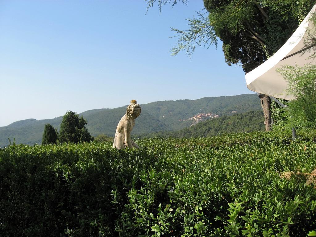Tenuta La Bandita Sassetta Exterior photo